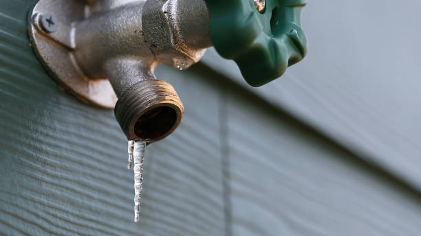 Best Plumbing Inspection Services  in Dickinson, ND