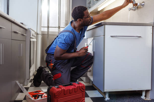 Best Local Plumber Services  in Dickinson, ND